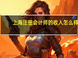 上海注册会计师的收入怎么样