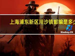上海浦东新区川沙镇邮编是多少