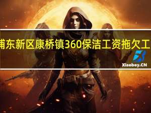上海浦东新区康桥镇360保洁工资拖欠工资怎么办呀
