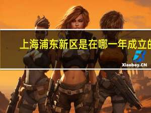 上海浦东新区是在哪一年成立的