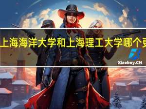 上海海洋大学和上海理工大学哪个更好啊