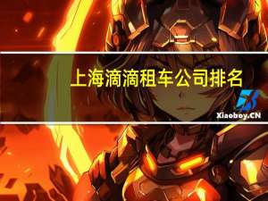 上海滴滴租车公司排名