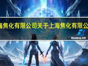上海焦化有限公司 关于上海焦化有限公司的介绍