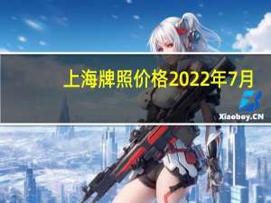 上海牌照价格2022年7月（上海牌照价格）