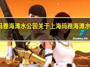 上海玛雅海滩水公园 关于上海玛雅海滩水公园的介绍