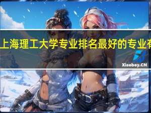 上海理工大学专业排名最好的专业有哪些