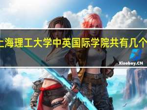 上海理工大学中英国际学院共有几个专业啊