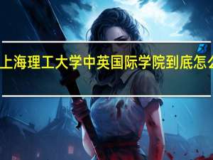 上海理工大学中英国际学院到底怎么样阿