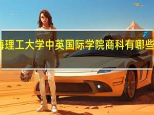 上海理工大学中英国际学院商科有哪些专业设置