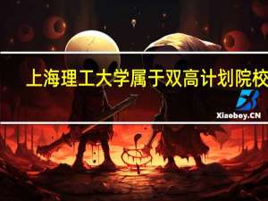 上海理工大学属于双高计划院校吗