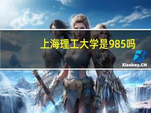 上海理工大学是985吗