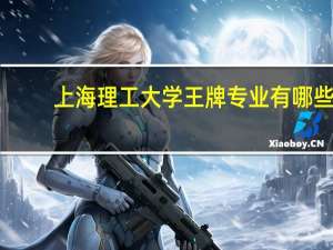 上海理工大学王牌专业有哪些