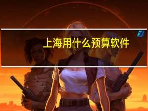 上海用什么预算软件