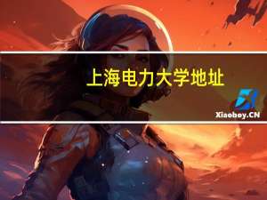 上海电力大学地址