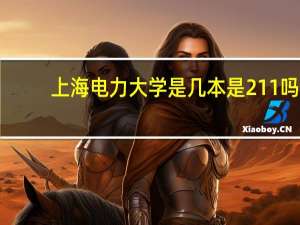 上海电力大学是几本是211吗