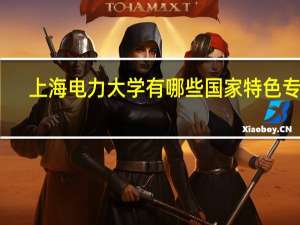 上海电力大学有哪些国家特色专业