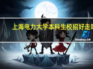 上海电力大学本科生校招好走吗