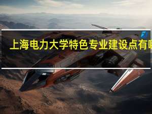 上海电力大学特色专业建设点有哪些