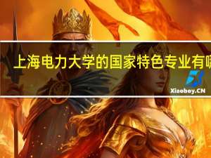 上海电力大学的国家特色专业有哪些
