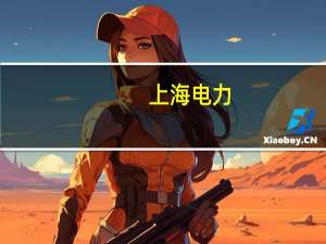 上海电力：闵行发电厂H级燃气-蒸汽联合循环发电机组投产