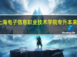 上海电子信息职业技术学院专升本来得及吗