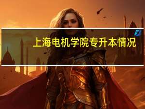 上海电机学院专升本情况