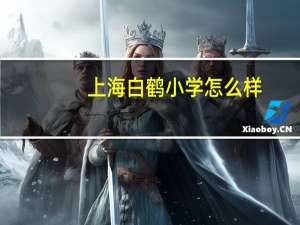 上海白鹤小学怎么样