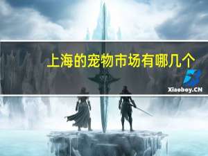 上海的宠物市场有哪几个