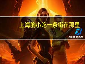 上海的小吃一条街在那里
