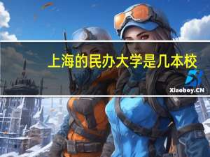 上海的民办大学是几本校