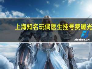 上海知名玩偶医生挂号费曝光，180元背后的故事与思考