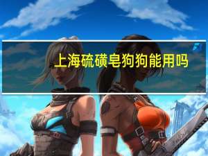 上海硫磺皂狗狗能用吗