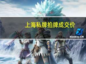 上海私牌拍牌成交价