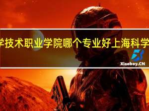 上海科学技术职业学院哪个专业好 上海科学技术职业学院