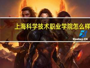 上海科学技术职业学院怎么样