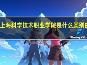 上海科学技术职业学院是什么类别的学校