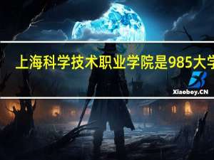 上海科学技术职业学院是985大学吗