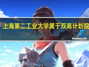上海第二工业大学属于双高计划院校吗