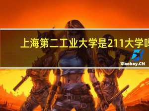 上海第二工业大学是211大学吗