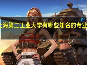 上海第二工业大学有哪些知名的专业和学科