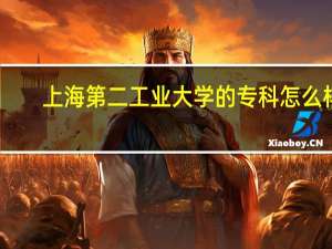 上海第二工业大学的专科怎么样