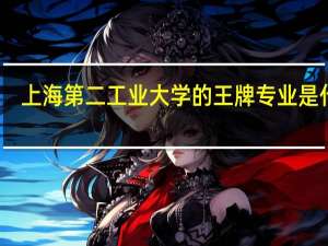 上海第二工业大学的王牌专业是什么