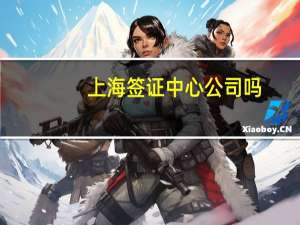 上海签证中心公司吗(上海签证地点)