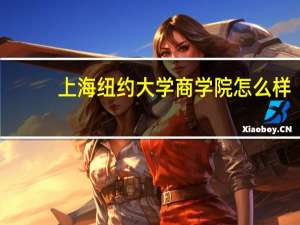 上海纽约大学商学院怎么样