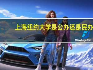 上海纽约大学是公办还是民办