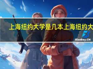 上海纽约大学是几本 上海纽约大学