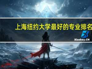 上海纽约大学最好的专业排名