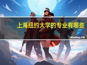 上海纽约大学的专业有哪些