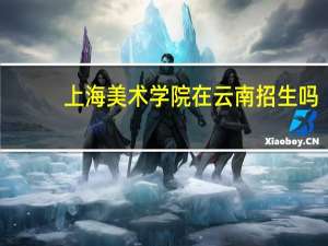 上海美术学院在云南招生吗