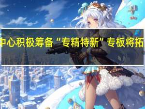 上海股交中心积极筹备“专精特新”专板 将拓展服务企业范围
